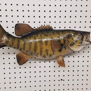 Meet your Posher, Eloise